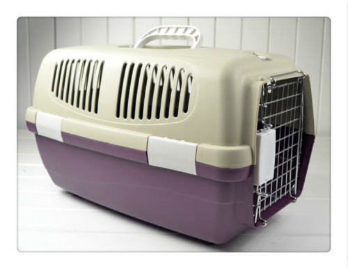 选择狗狗航空箱的时候要注意哪些