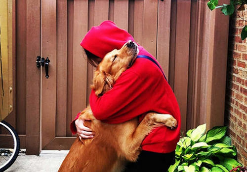 养狗如何约束好自身