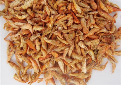 用虾喂龟真的好么？