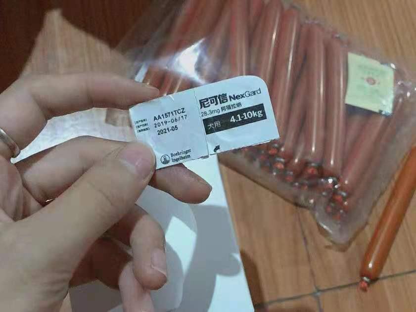 狗身上的跳蚤怎么去除 掌握正确的除蚤方法~