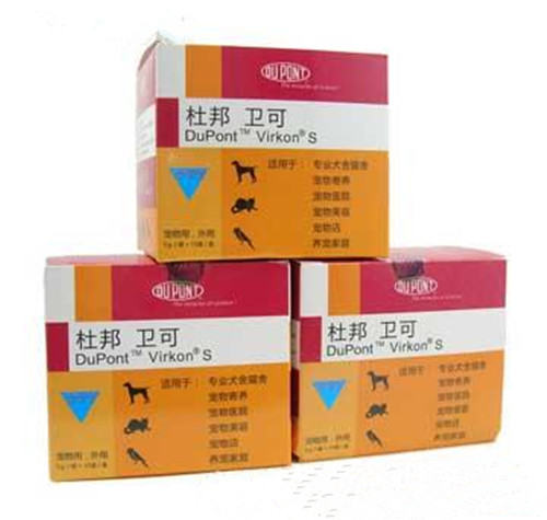 日常狗狗环境消毒的注意事项
