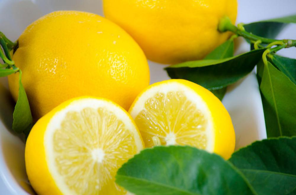 柠檬的病害及其防治
