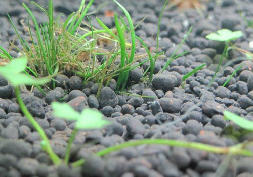 鱼缸底部用底砂还是底泥好？