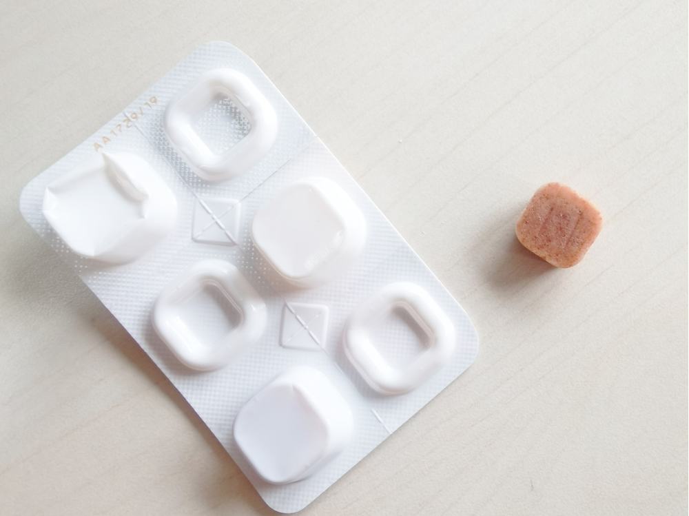 狗狗驱虫多久一次才合适?养狗新手必看 狗狗驱虫多久一次才合适?养狗新手必看