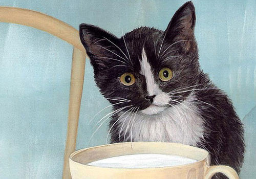 家庭中养猫的注意事项