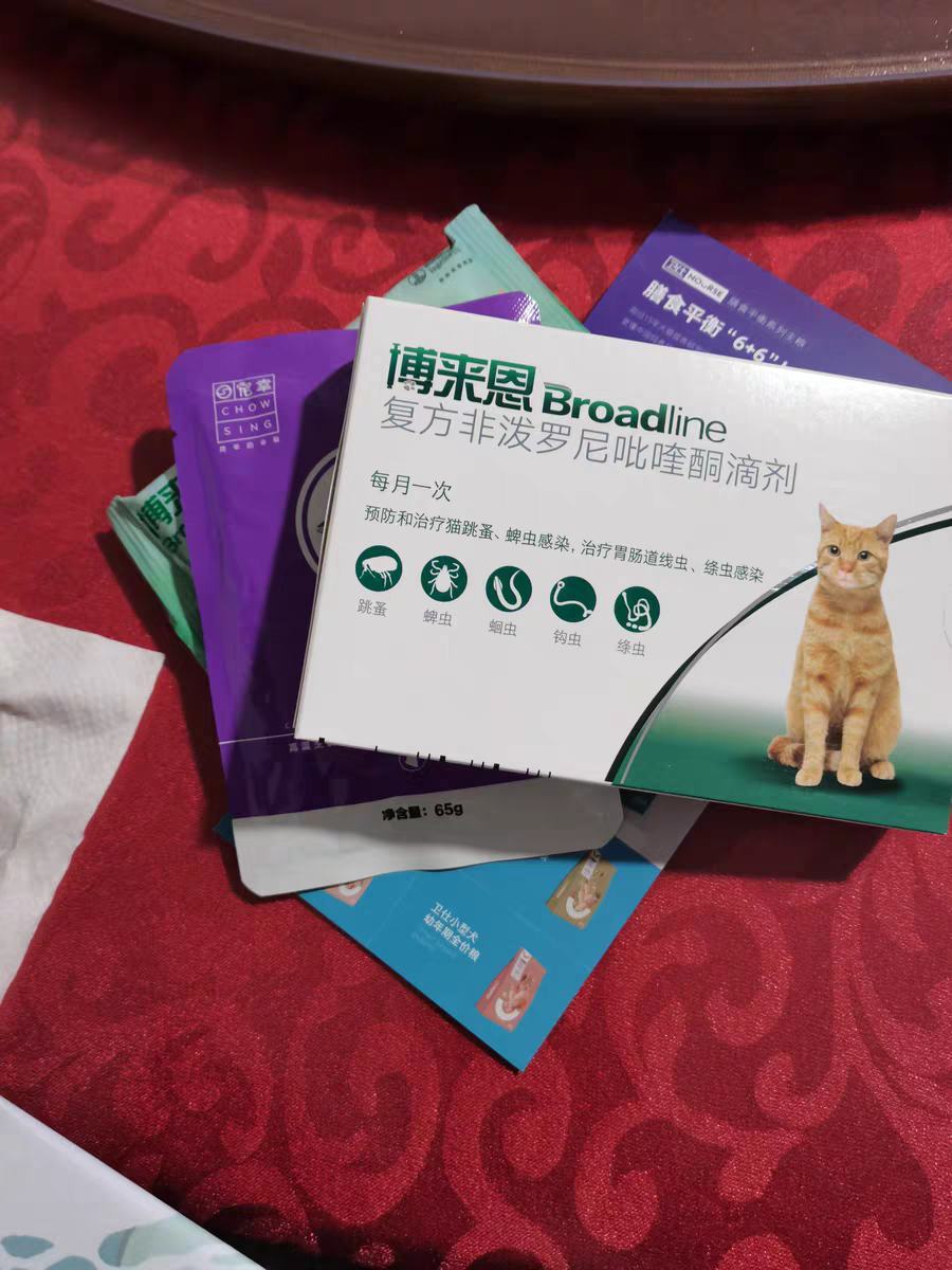 驱虫误区|如何正确驱杀猫身上的寄生虫？