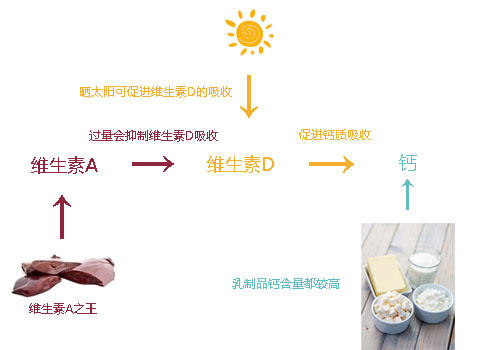 狗狗缺钙了怎么办