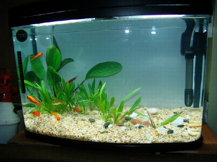 选择二氧化碳钢瓶的方法 选择二氧化碳钢瓶的方法