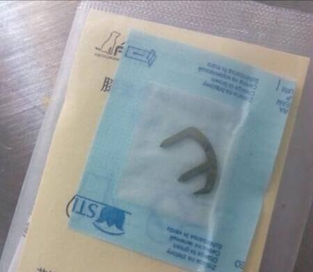 狗狗内侧髌骨脱位的症状及治疗