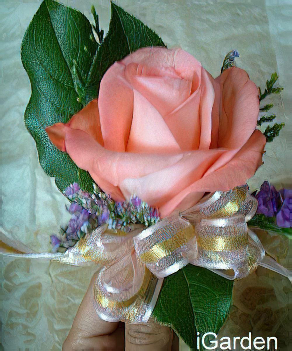 玫瑰胸花(图)