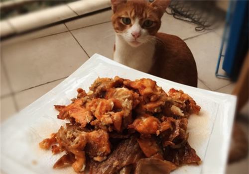 【美食攻略】自制猫咪零食之香烤三文鱼皮