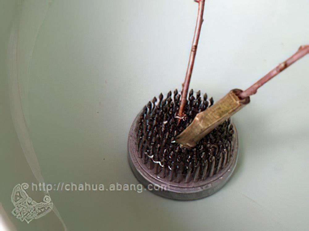 细弱花材的固定-剑山插花技巧介绍