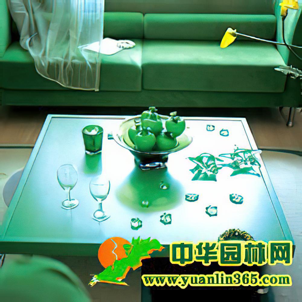 绿色装饰 让居室清爽宜人