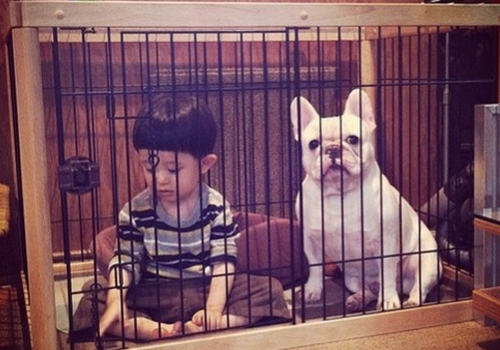 不要让狗狗吃孩子的醋