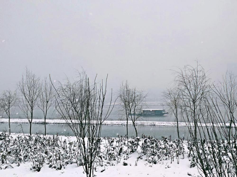 一个冬天都没见过这么美丽的风景：景天和雪景果然是绝配