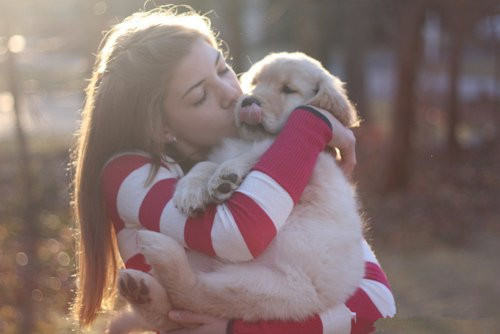 贴心小棉袄，狗狗依赖度大测试