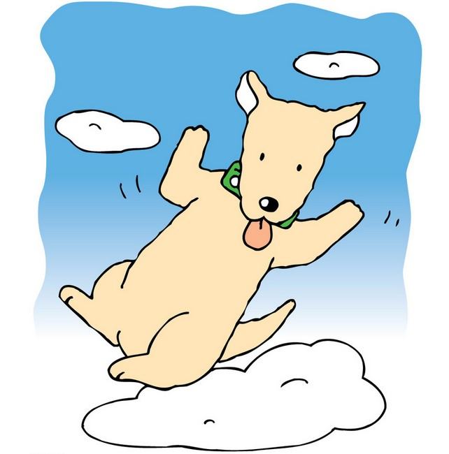 狗狗死亡心理学研究假想 狗狗死亡心理学研究假想