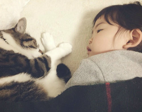 和猫咪一起睡好吗
