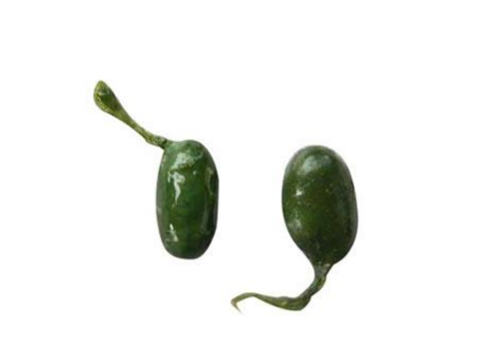 蛇胆有哪些价值