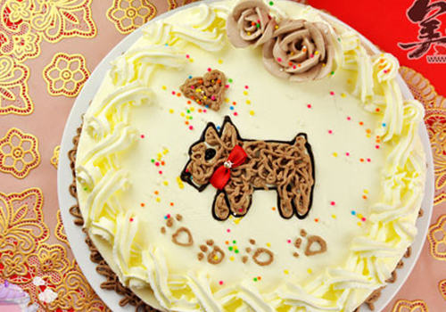 宠物蛋糕对狗狗的健康是否有益