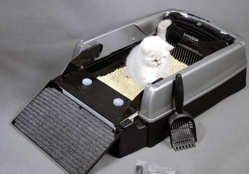 真的有自动清洁猫砂盆吗？