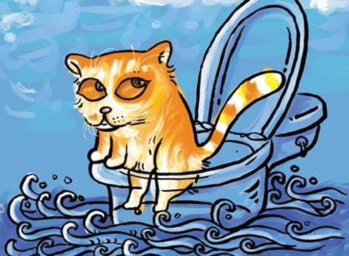 大庭广众之下的猫砂盆