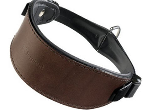 狗项圈使用的一些注意事项 狗项圈使用的一些注意事项