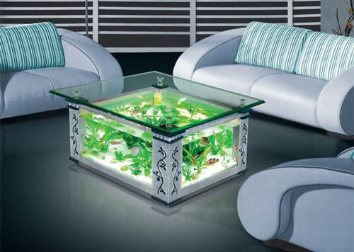 鱼缸大小及摆放位置的建议