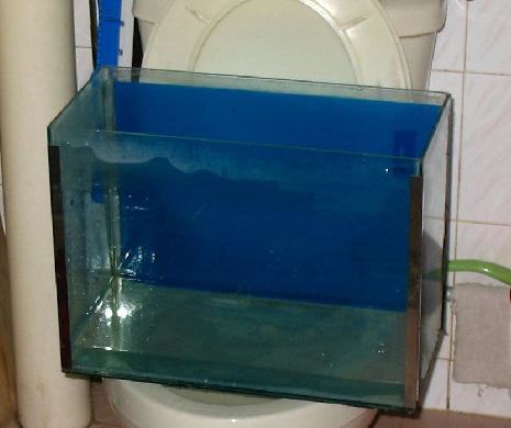新手养鱼要知道的水知识