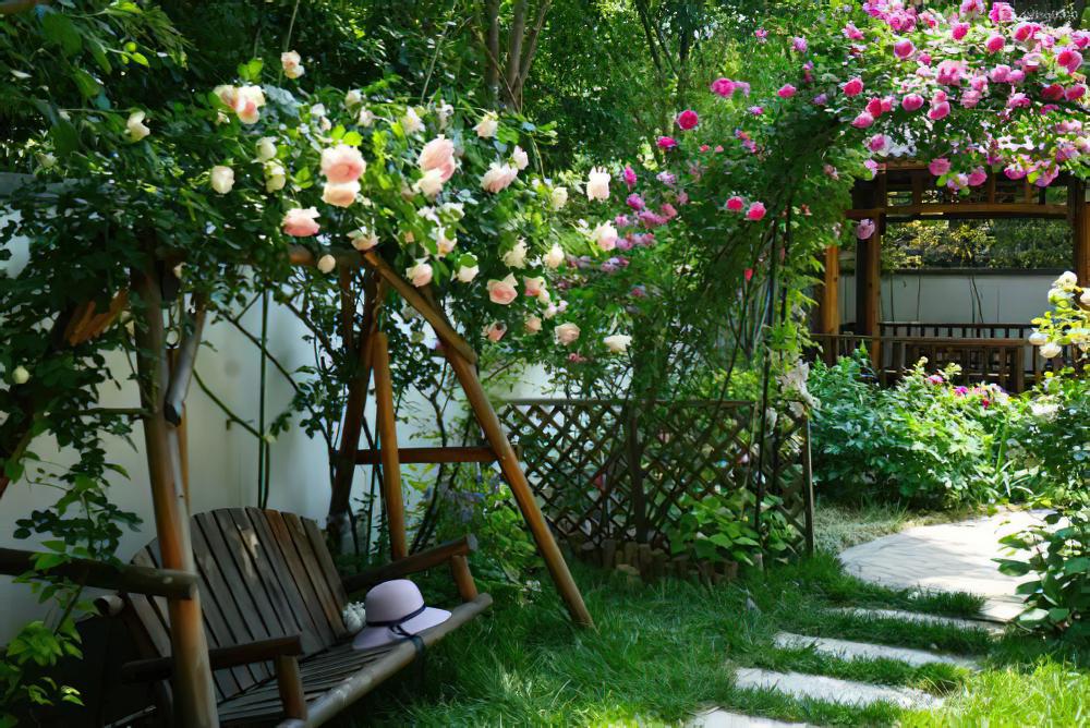 我想有个小院子，四季赏花一辈子！