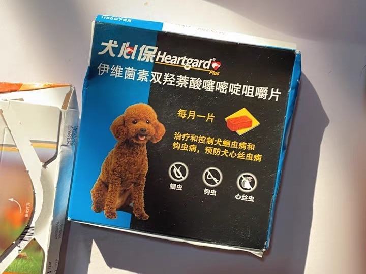 给小狗狗驱虫 你一定要知道这些！