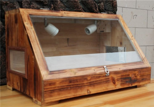 陆龟饲养箱如何布置？