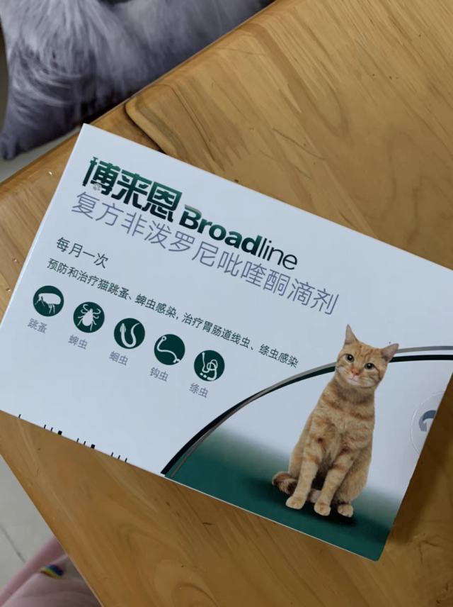 养猫小白怎么判断猫要不要驱虫？