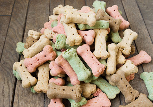 狗狗食物调理要注意什么 狗狗食物调理要注意什么