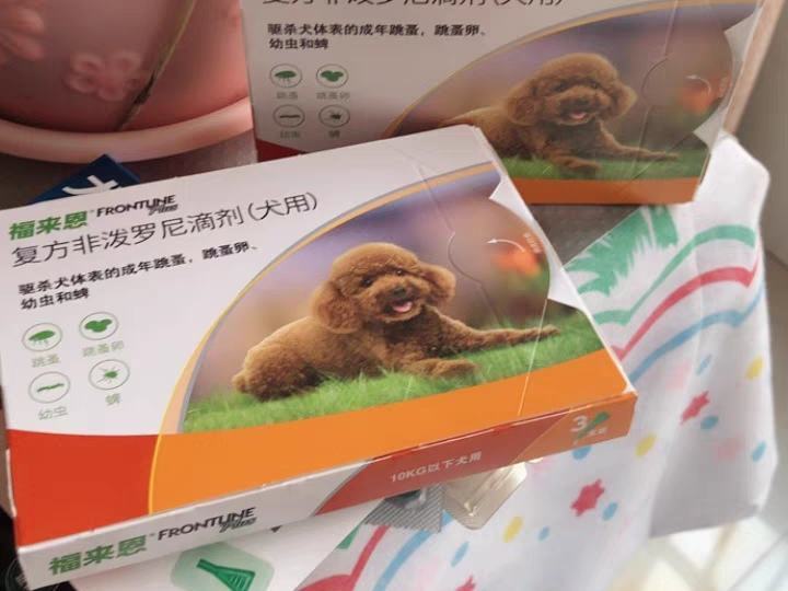 给小狗狗驱虫 你一定要知道这些！