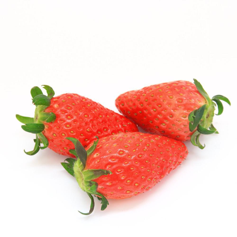 阳台草莓的种植方法