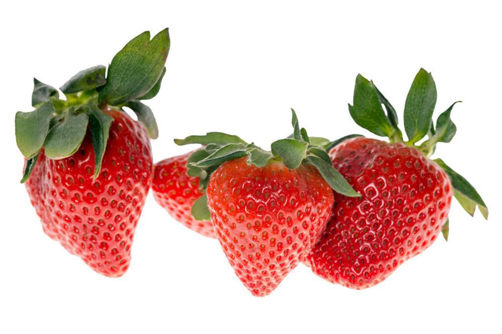 草莓水培种植方法