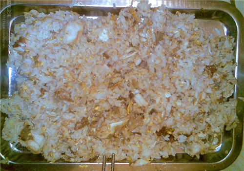 【美食攻略】适合给流浪猫的简单食物