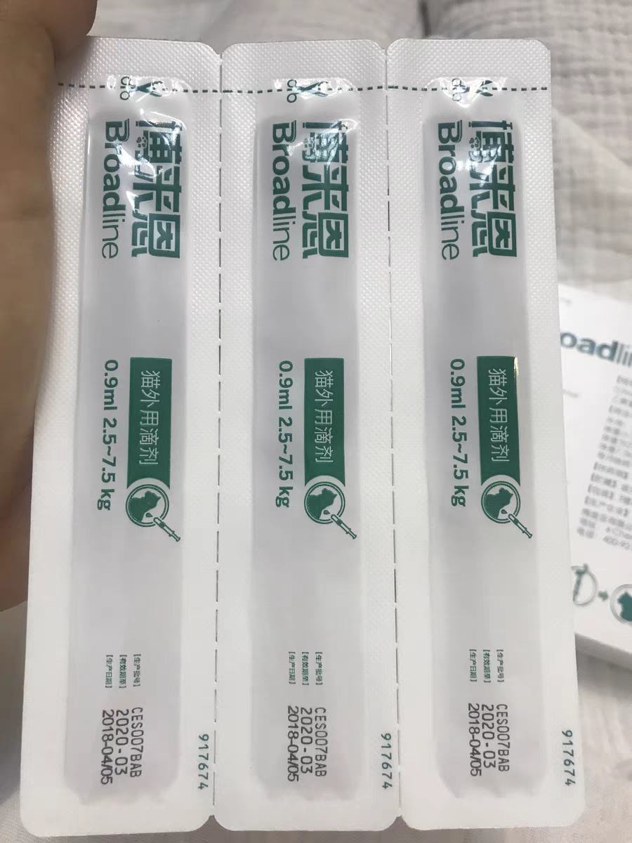 给猫咪驱虫多久一次？有哪些雷区要避开？