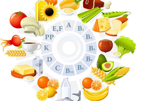 肉兔对各营养有何需求