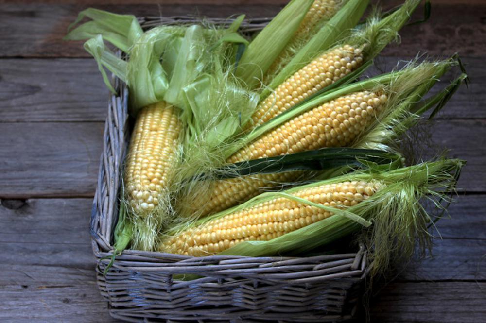 玉米是凉性还是热性，有什么功效与作用