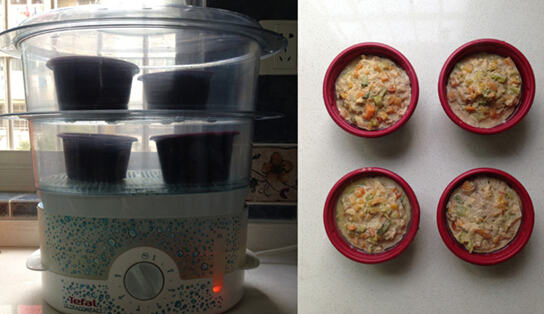 夏季给猫咪补水——自制时蔬鸡猪猫饭