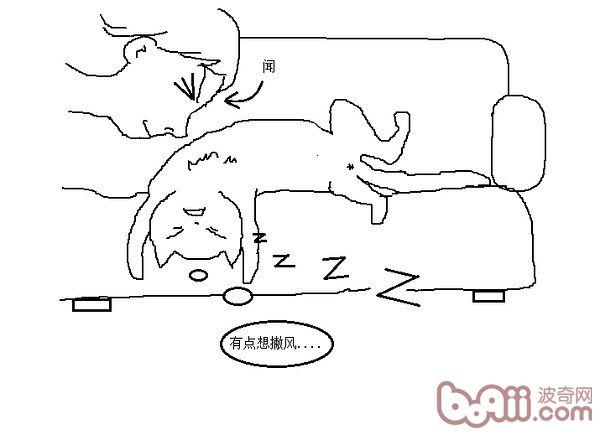猫咪行为图解:养过猫的都懂