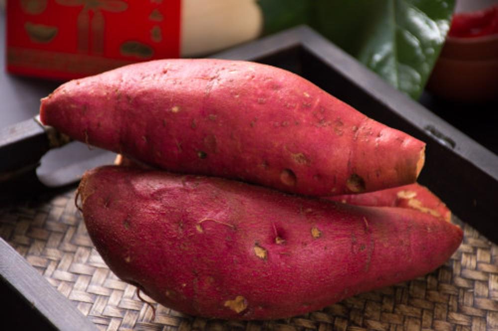全国人民都在种红薯盆景，不仅颜值高，还健康美味