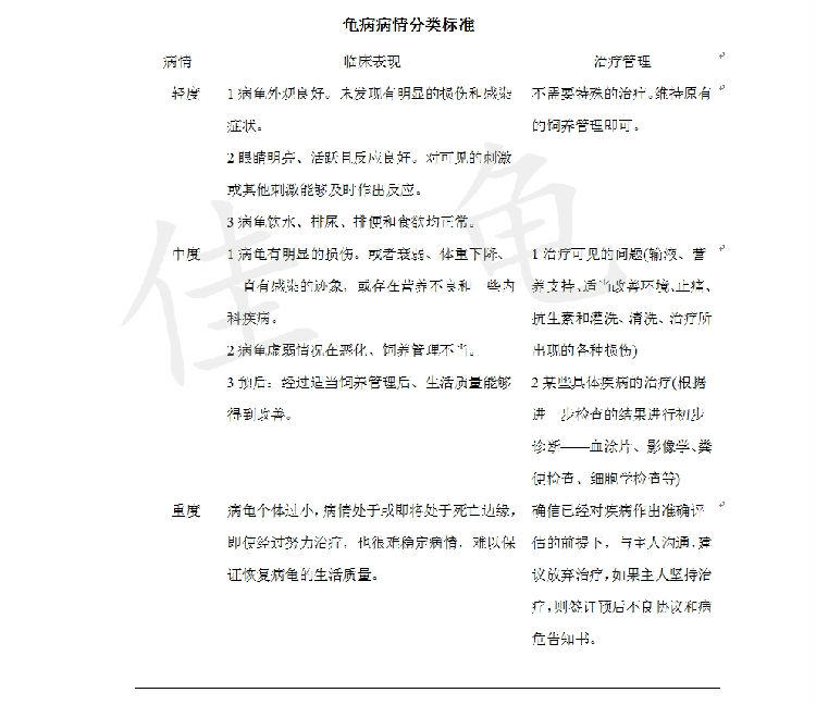 宠物龟疾病临床检查程序