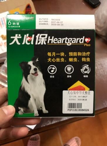 狗狗驱虫要领，你可能还不知道