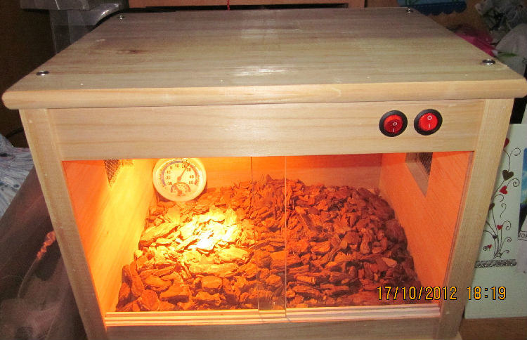 宠物龟加温过冬的几种方法介绍