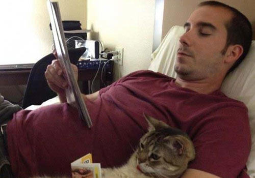 养猫的人比养狗的人更聪明？