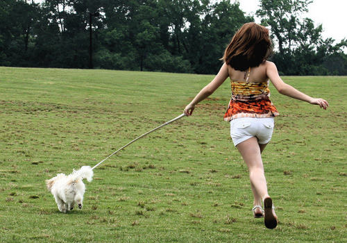 人遛狗还是狗遛人？