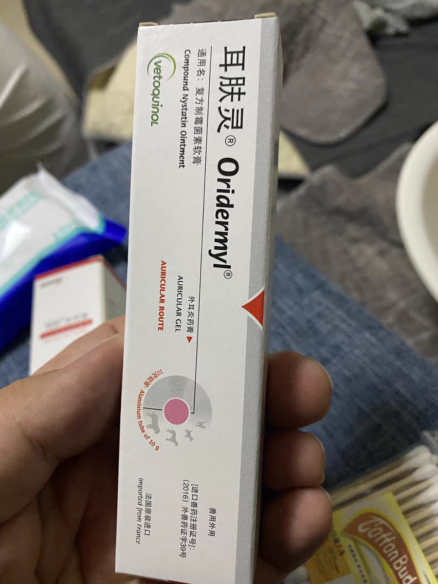 还在为猫咪耳螨困扰吗？看完这篇就不愁了！